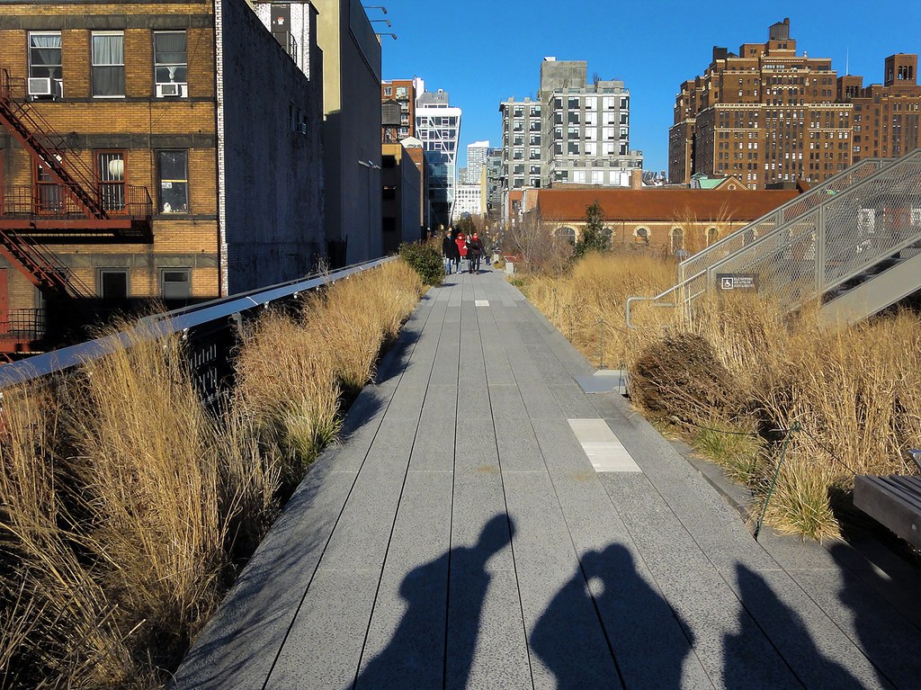 Lối đi High Line giữa hai dải cỏ lau trồng lặp lại