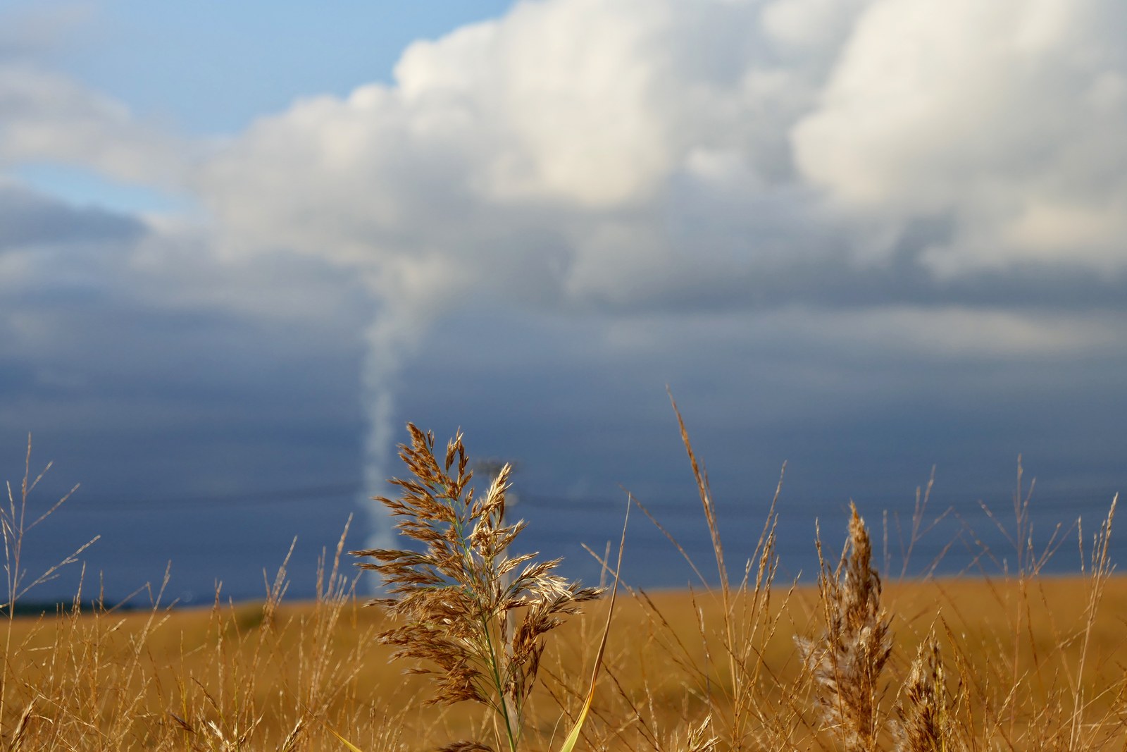 Ảnh minh hoạ — Fresh Kills Park
