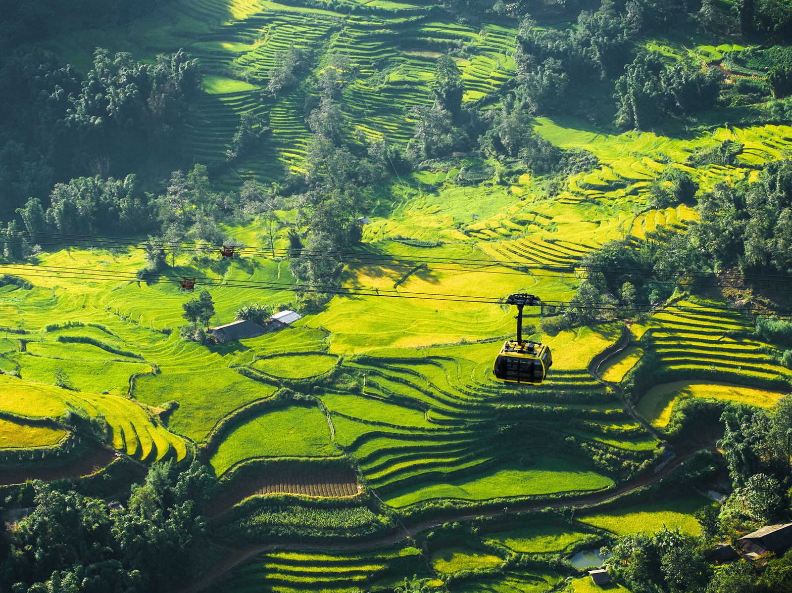 Ảnh minh hoạ — Cáp treo Fansipan bay ngang thung lũng ruộng bậc