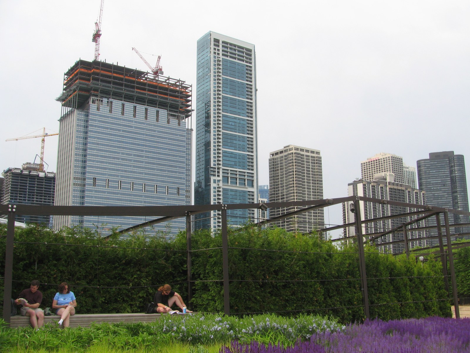 Millennium Park — Khung hàng rào “shoulder hedge” uốn lượn của Lurie
