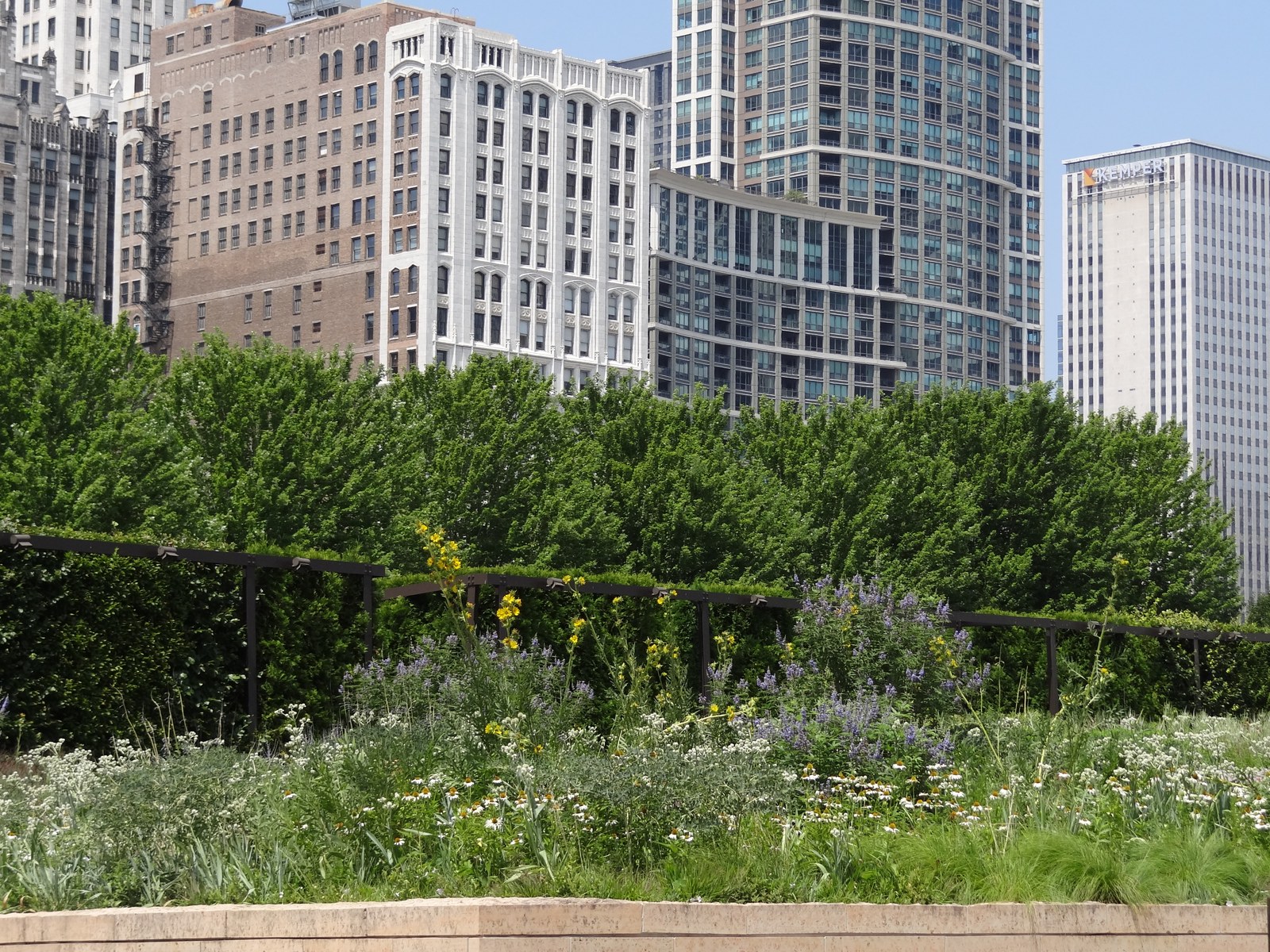 Millennium Park — Một góc rợp bóng của Lurie Garden với luống