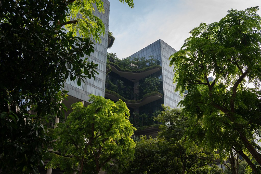 Nhìn xuyên qua tán cây trước công trình lên các tầng sân vườn trên cao của PARKROYAL Collection Pickering