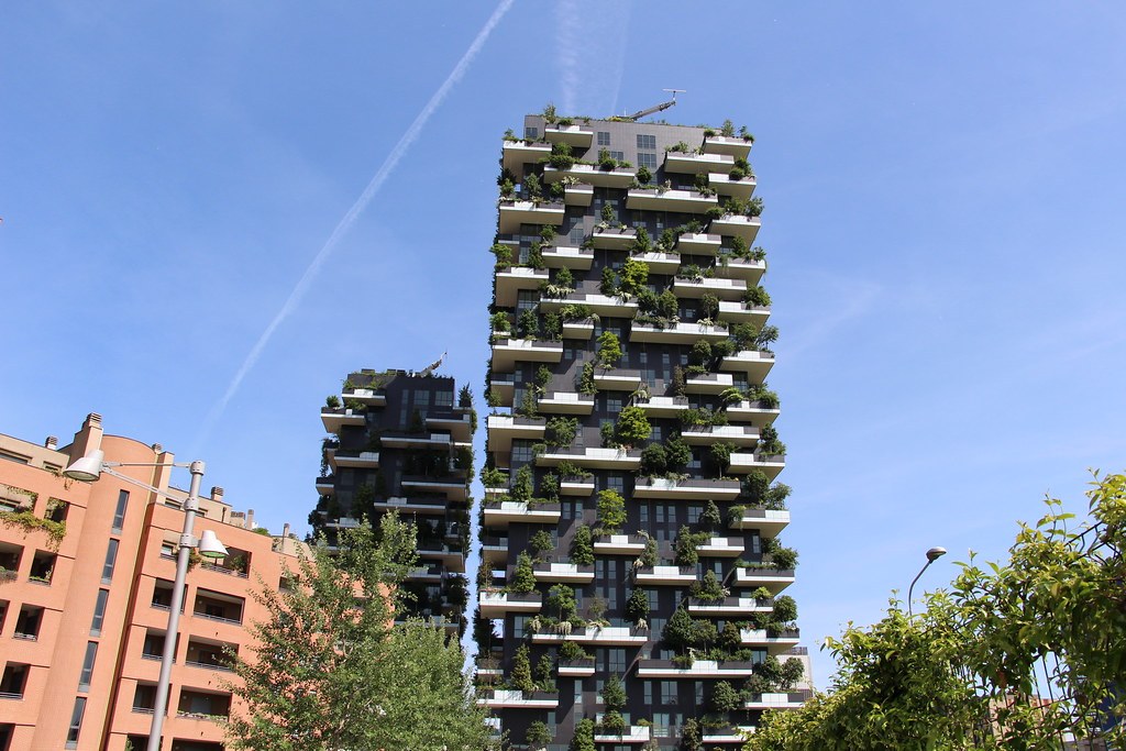 Nhìn từ mặt đường phố Milan lên hai toà Bosco Verticale, cây trồng trên ban công phủ gần kín các tầng cao