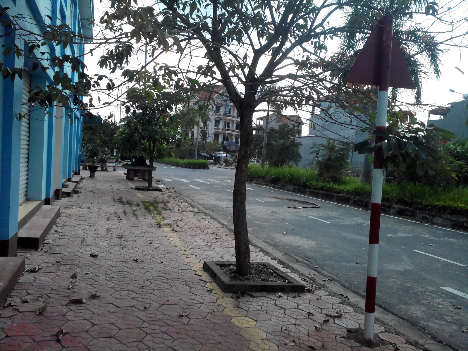 Một tuyến vỉa hè khu dân cư thị trấn Lai Cách với cây xanh trồng trong hố ga vuông, cột biển báo giao thông màu đỏ trắng bên đường