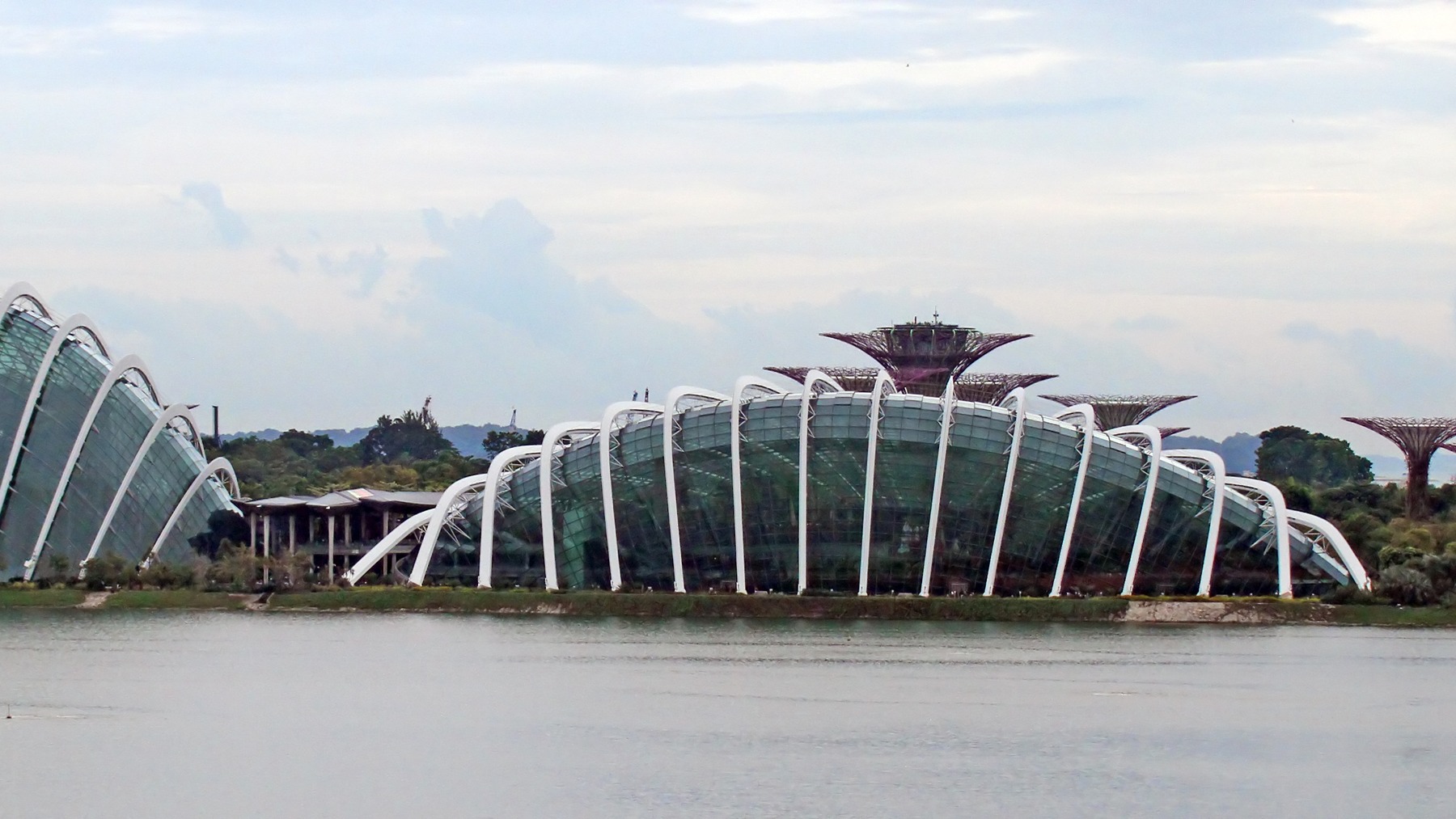 18 cái cây thép ở Gardens by the Bay giấu cả hệ thống làm mát bên trong